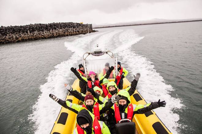Puffin Tour by RIB Speedboat from Downtown Reykjavik