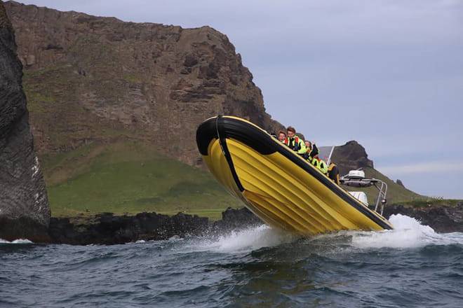 Puffin Tour by RIB Speedboat from Downtown Reykjavik