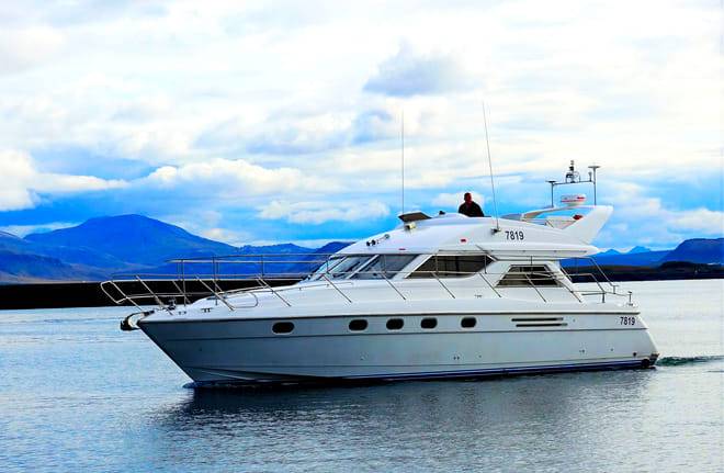 Puffin Watching Yacht Cruise from Downtown Reykjavík – Small Group Experience