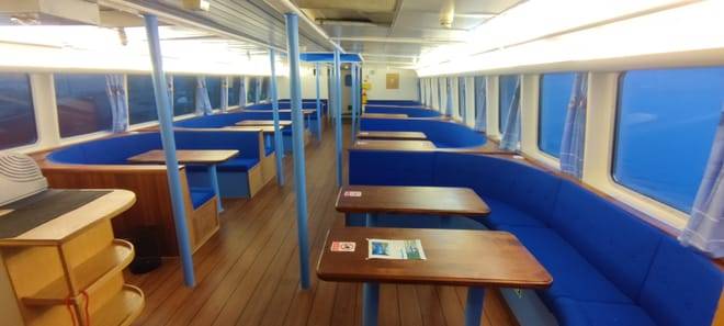 Whale & Marine Adventure Tour