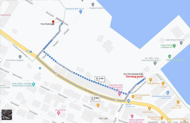 Whale & Marine Adventure Tour