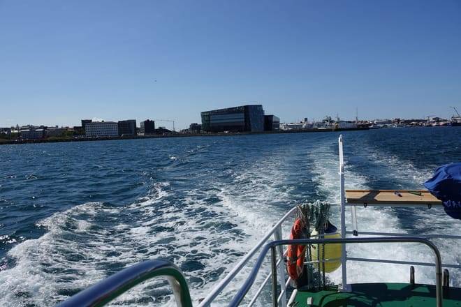 Whale watching - Downtown Reykjavík
