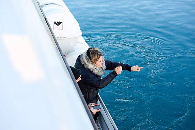 Whale Watching Cruise from Reykjavík