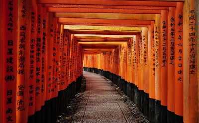 Kyoto Early Bird Tour Tokyo Round or One Way Shinkansen 