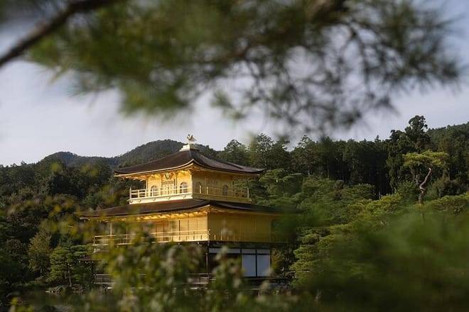 Kyoto Early Bird Tour Tokyo Round or One Way Shinkansen 