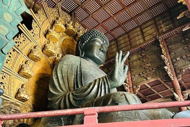 Nara Early Morning Tour (Kyoto or Osaka Departure Available)