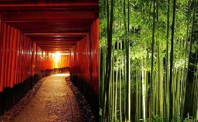 Kyoto Fushimi-Inari and Arashiyama Night Walking Tour
