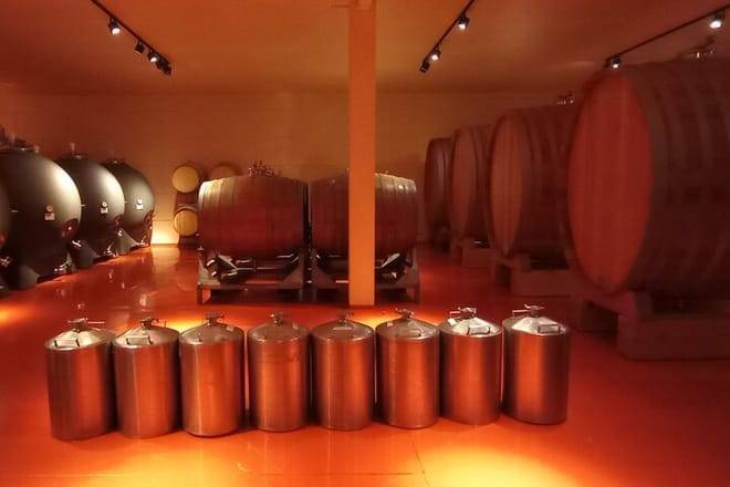 Exclusive Tour Catena Zapata