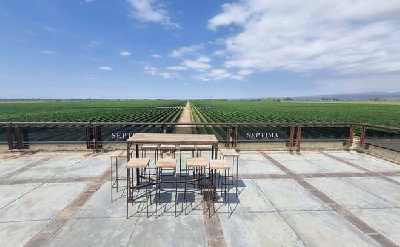 EXPERIENCIA DE BODEGAS