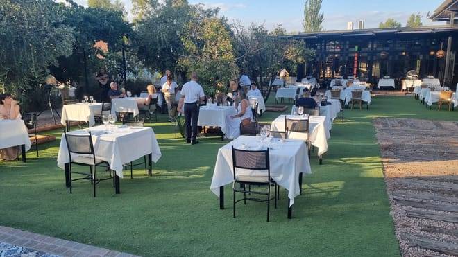 EXPERIENCIA DE BODEGAS
