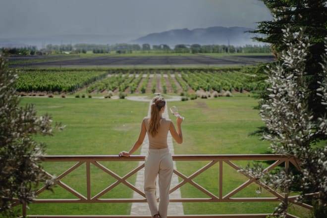 EXPERIENCIA DE BODEGAS