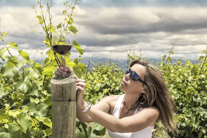 EXPERIENCIA DE BODEGAS