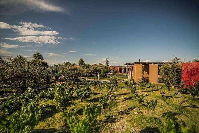 EXPERIENCIA DE BODEGAS