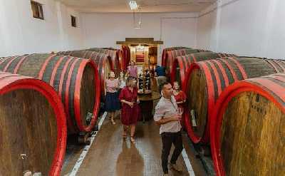Taste Routes Wines and Oils of Mendoza 