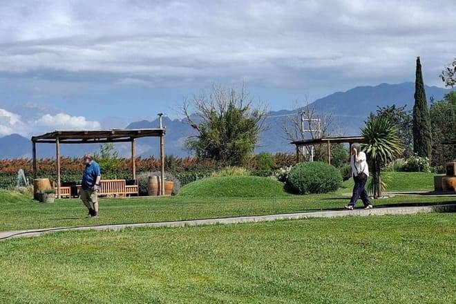 Bike Tour Winery and Olivicolas Tastings