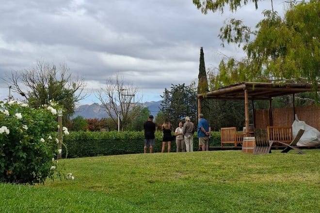 Bike Tour Winery and Olivicolas Tastings