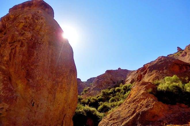 Cañon del Atuel Day Trip from Mendoza