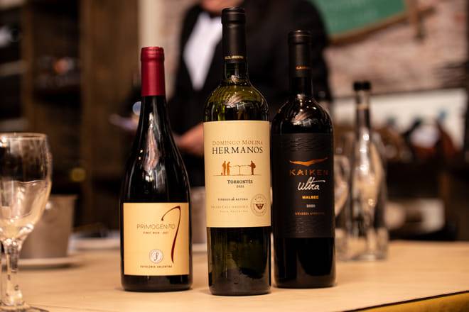 Wine Tasting in Buenos Aires with Tapas