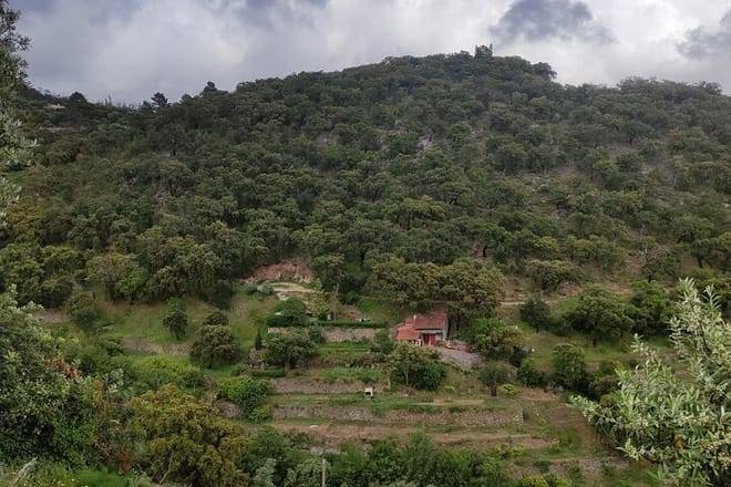 Half-day 4X4 tour of the Monchique Mountains and Lake Bravura