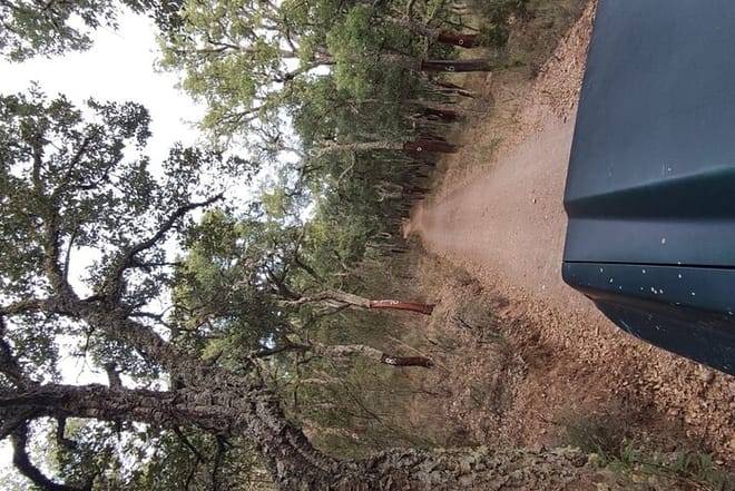 Half-day 4X4 tour of the Monchique Mountains and Lake Bravura