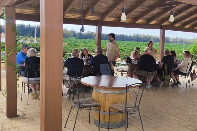 Wine Tasting & Tapas 4x4 Tours