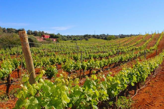 Bottle Blending Workshop