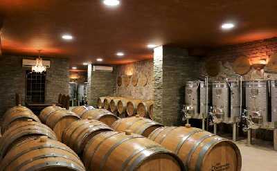 Open Groups - Wine Tasting and Guided Tour