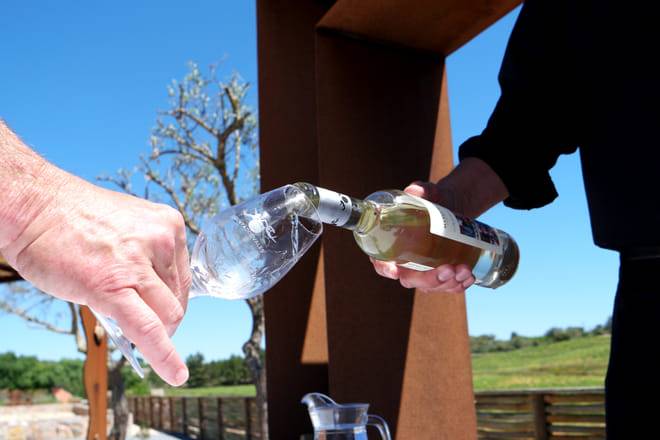 Open Groups - Wine Tasting and Guided Tour