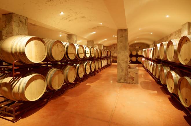 Open Groups - Wine Tasting and Guided Tour