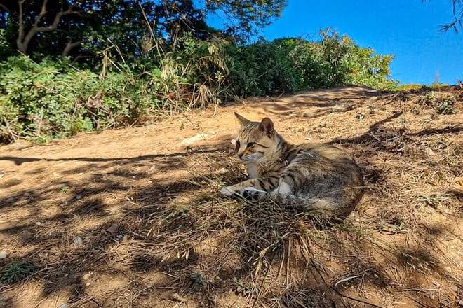From Faro: Benagil Hiking Cliffs and the 4 Treasure Experience