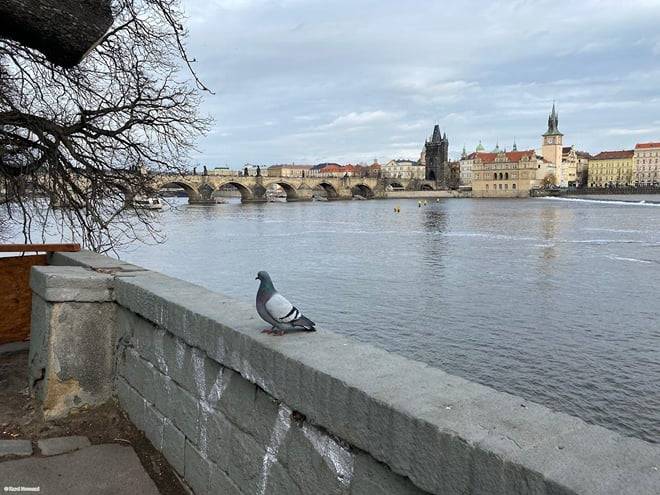 Prague: Old Town to Hradčany In-App Audio Tour