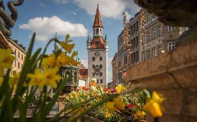 Munich: Old Town Walking Audio Tour on Mobile App