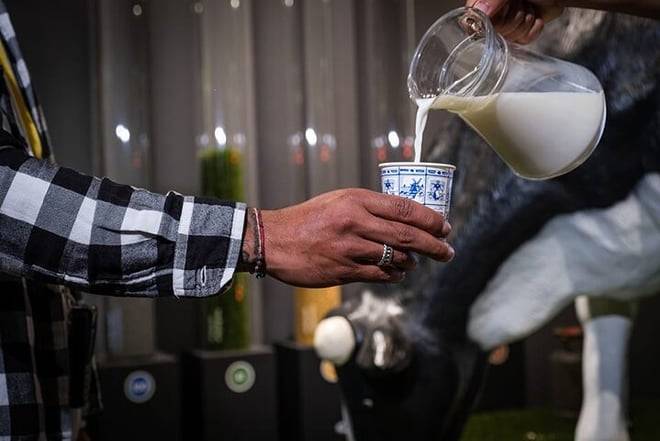 Gouda trip from Amsterdam by train with Gouda Cheese Experience