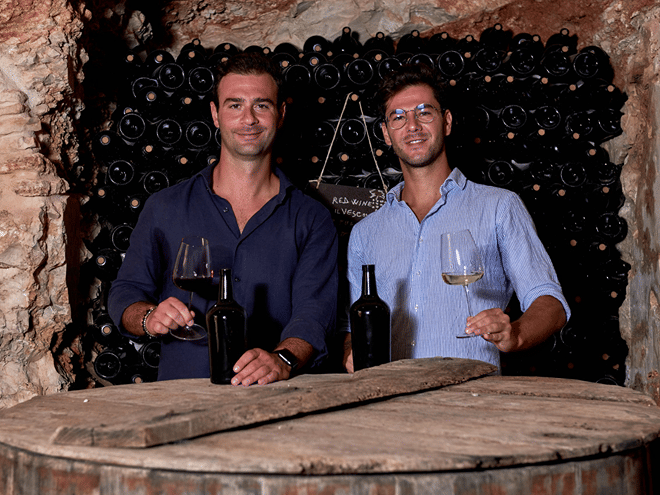 Wine Tasting with Food Pairings in Bari City Center