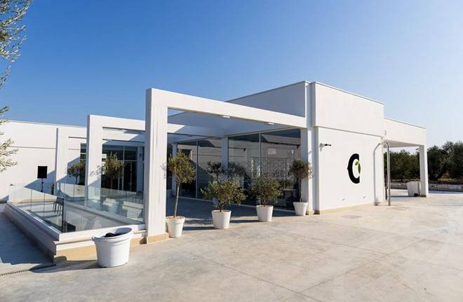 Olive Oil Mill Tour with Tasting near Molfetta & Bari