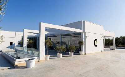 Olive Oil Mill Tour with Tasting near Molfetta & Bari