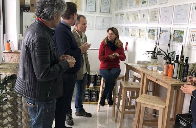 Olive Oil Mill Tour with Tasting near Molfetta & Bari