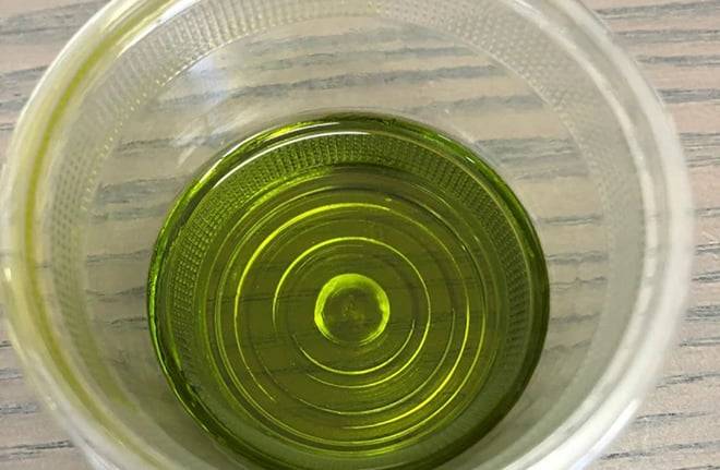Olive Oil Mill Tour with Tasting near Molfetta & Bari