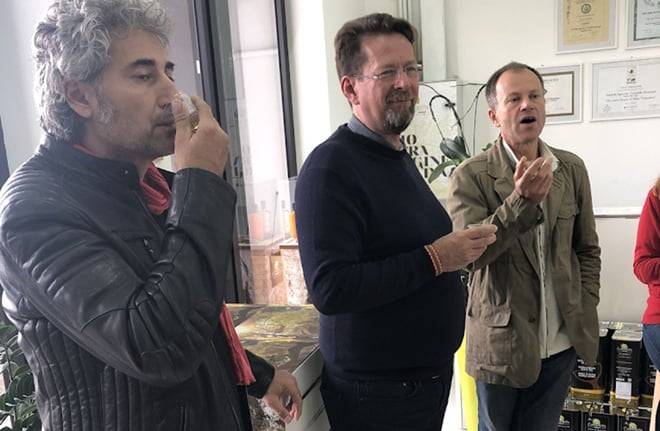 Olive Oil Mill Tour with Tasting near Molfetta & Bari