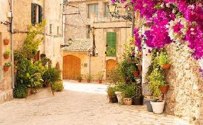 Discover the Charm of Palma de Mallorca on a Private Tour