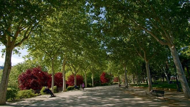 Madrid: Spanish Civil War and Franco Era Guided Walking Tour