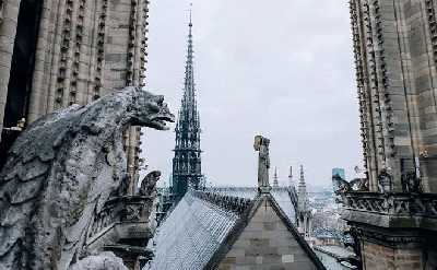 Paris: Notre-Dame The Restored Masterpiece Guided Tour