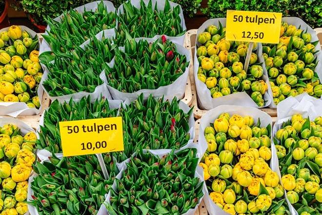Amsterdam: Dam Square & Flower Market Walking Tour