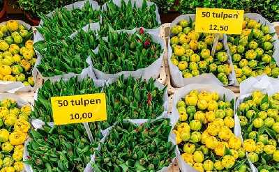 Amsterdam: Dam Square & Flower Market Walking Tour