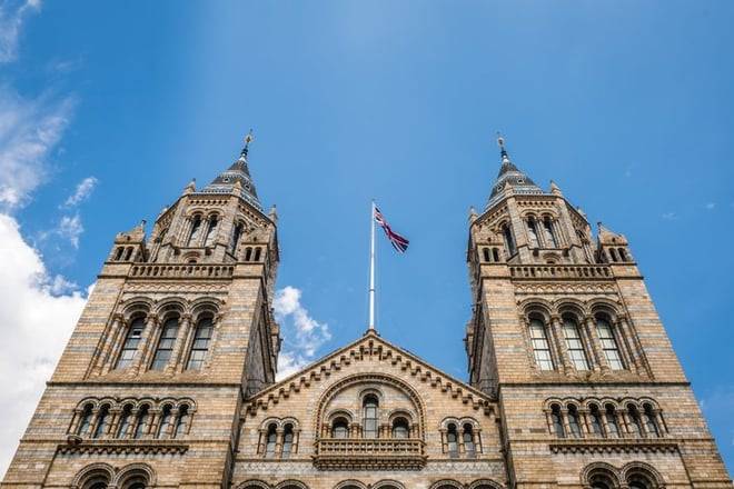 London: Natural History Museum Guided Tour With Fast Entry