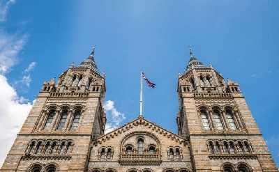 London: Natural History Museum Guided Tour With Fast Entry