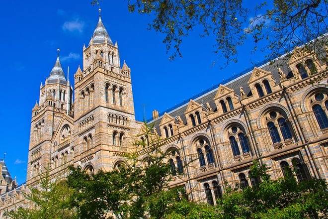 London: Natural History Museum Guided Tour With Fast Entry