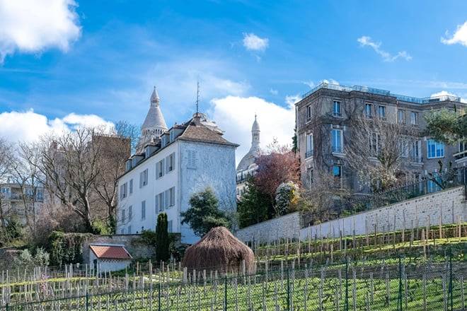 Paris: The Best of Montmartre Walking Tour