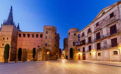 Barcelona: Gothic Quarter and Roman City Walking Tour
