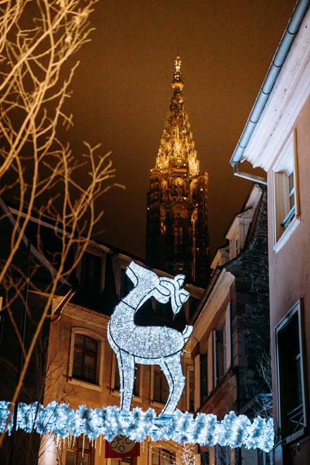 Strasbourg: Christmas Market and Traditions Walking Tour